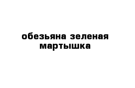 обезьяна зеленая мартышка 